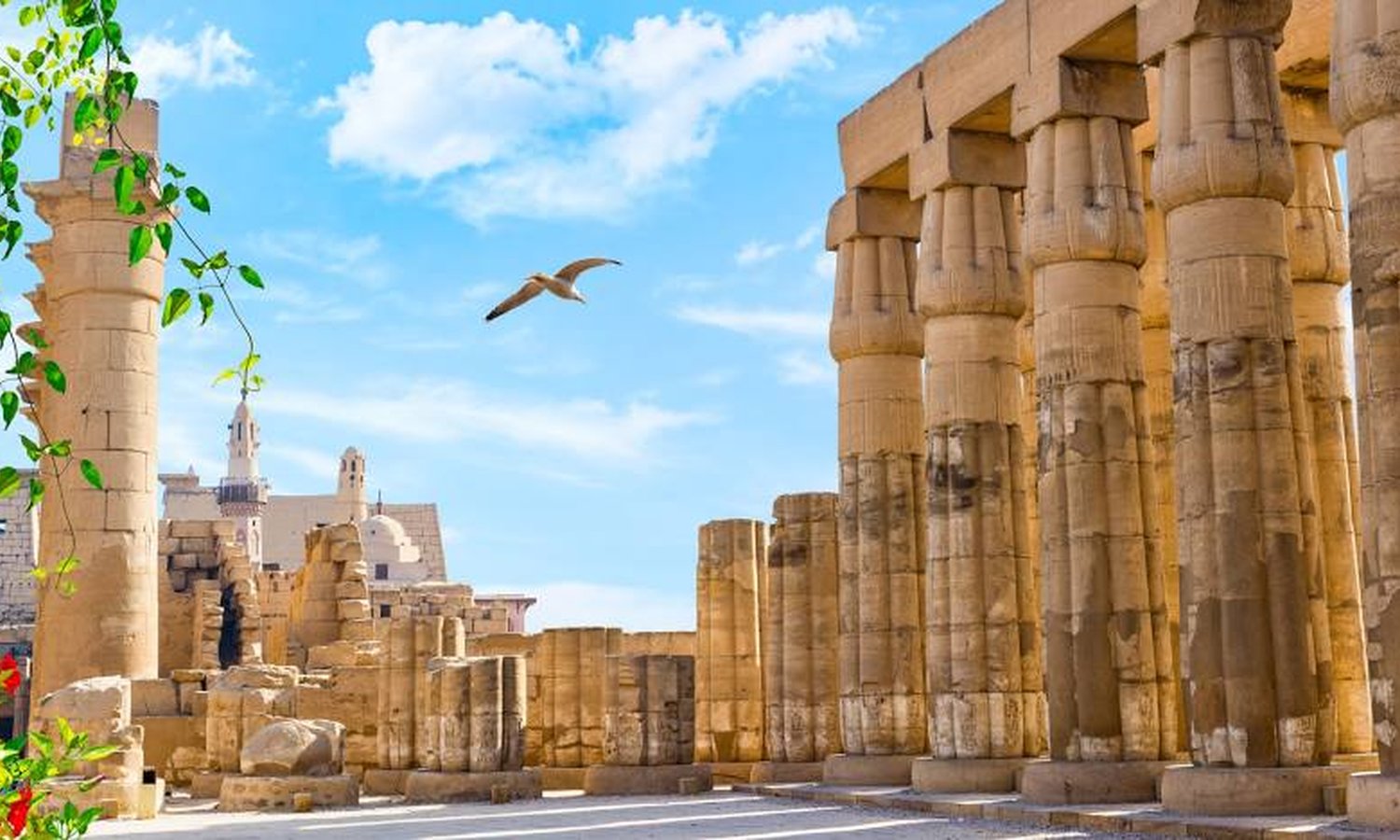 Hug the Pyramids I 08 Days 07 nights I 04 Nights Marriot Mena House & 3 nights Sonesta ST. George