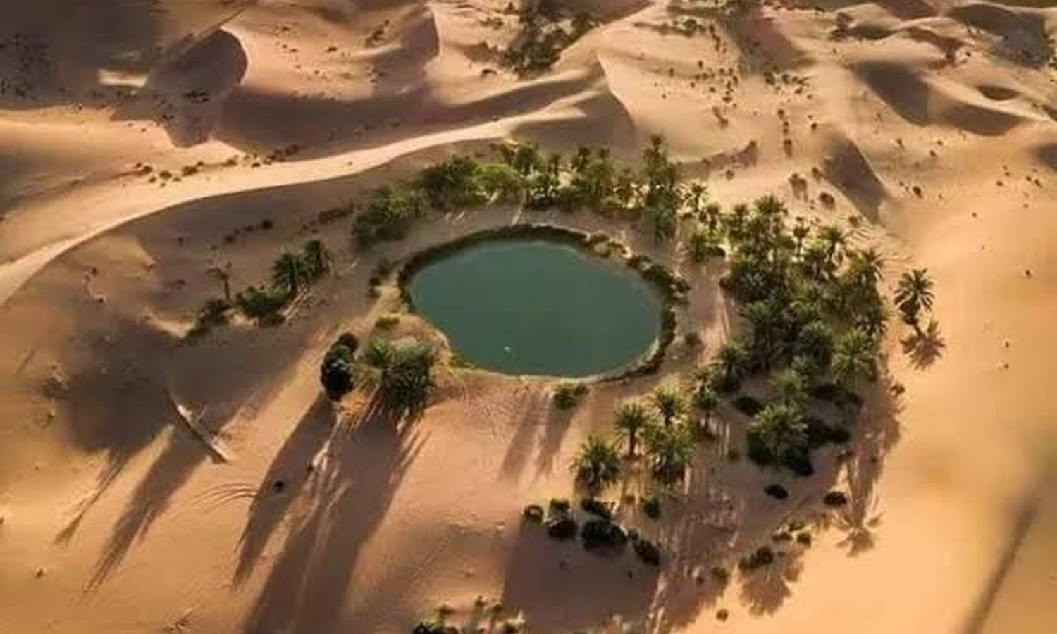Journey Through Oasis: Cairo - Abu Simbel
