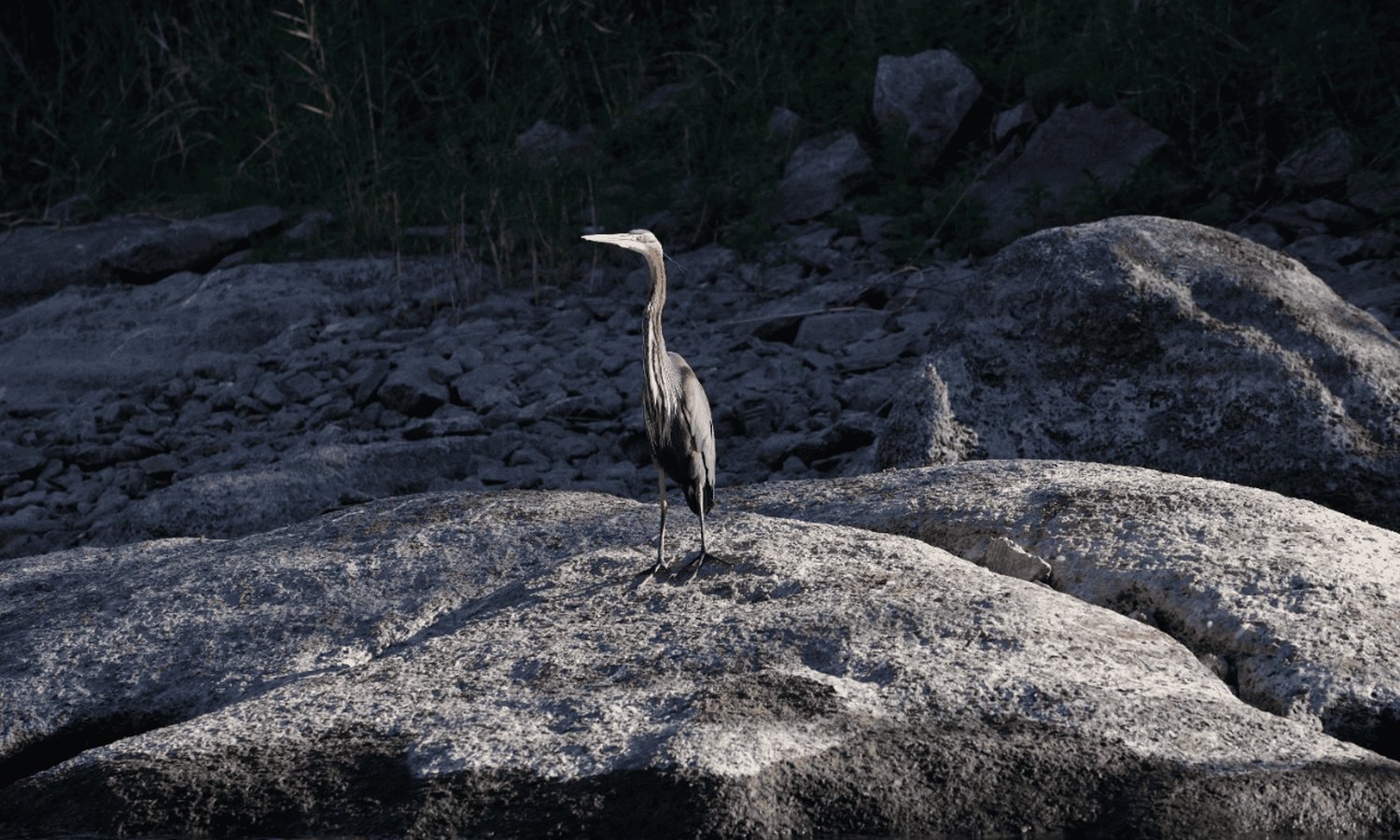 The Ultimate 15-Day Egyptian Odyssey: Temples, Deserts & the Nile