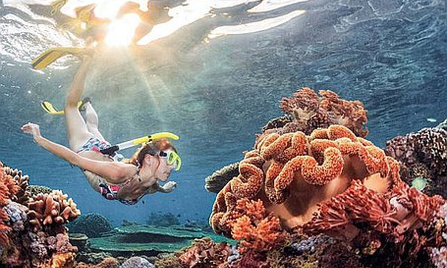 Egypt total eclipse with Hurghada I 11 Days 10 nights I 04 Nights Cairo, 3 nights Cruise 3 night Hurghada Jul 26 - Aug 05 2027