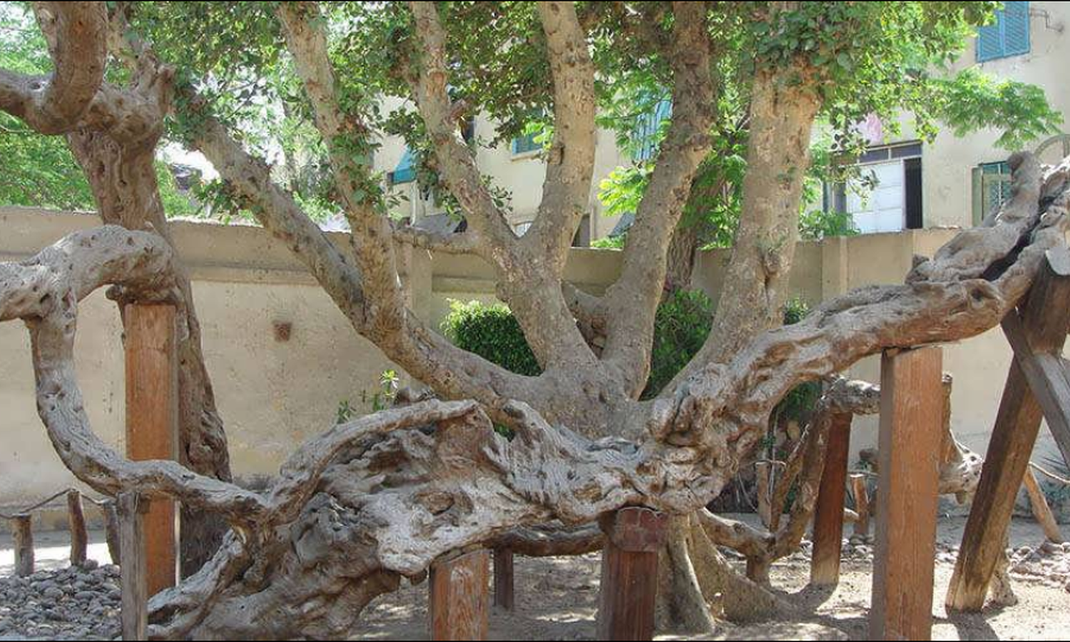 6-Day Holy Family Pathway: A Spiritual Journey Through Egypt’s Sacred Sites