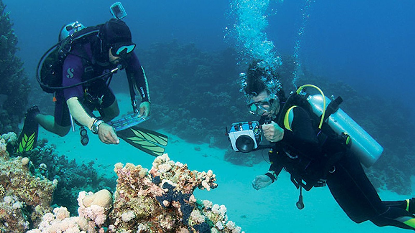 Mövenpick Sharm El Sheikh