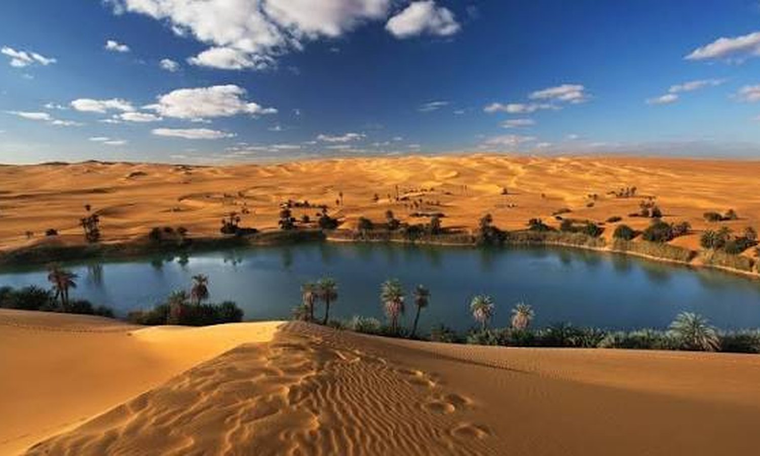 Journey Through Oasis: Cairo - Abu Simbel