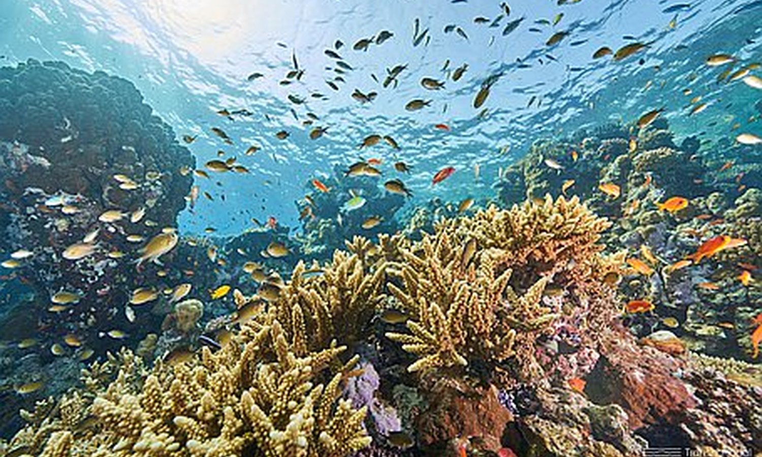 Egypt total eclipse with Hurghada I 11 Days 10 nights I 04 Nights Cairo, 3 nights Cruise 3 night Hurghada Jul 26 - Aug 05 2027